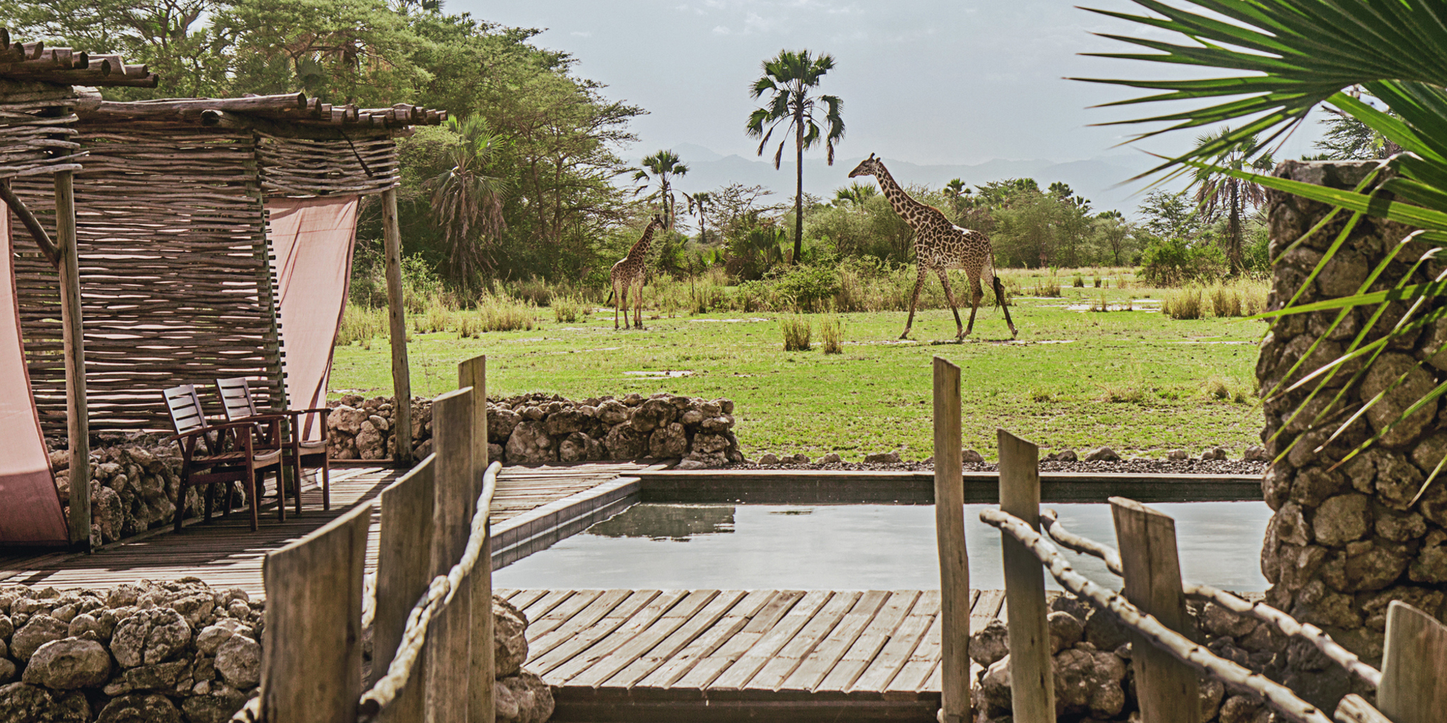 pool area, chem chem safari lodge, tarangire national park, tanzania