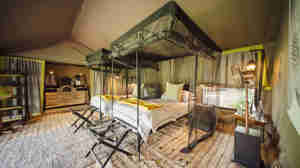 private room, forest chem chem, tarangire national park, tanzania