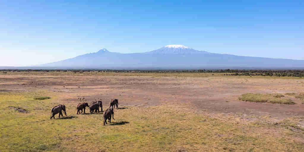 mount kilimanjaro, angama amboseli, amboseli national park, kenya