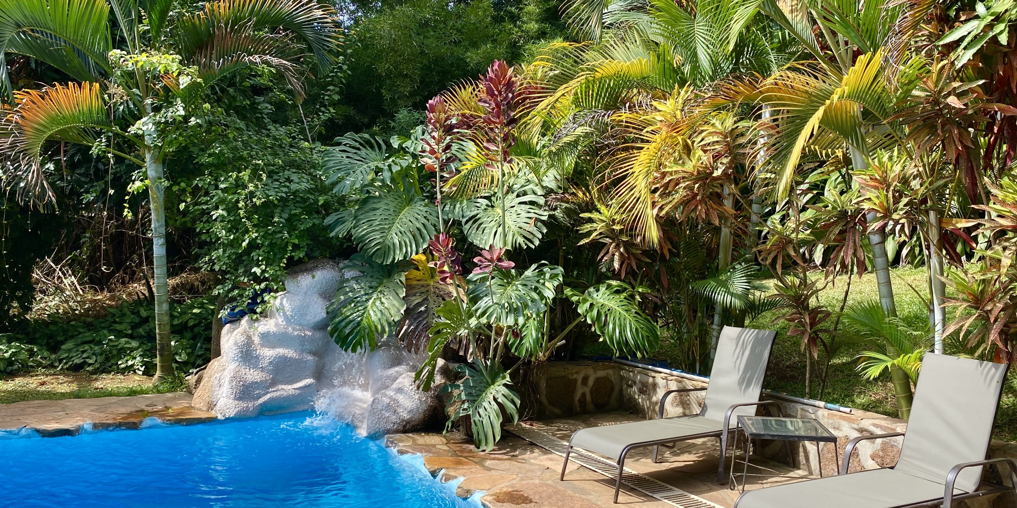 pool area, karibu guesthouse, entebbe, uganda