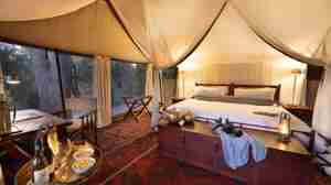 mian bedroom, okavango explorers camp, selinda game reserve, botswana