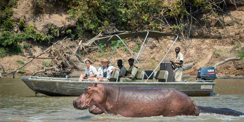hippo boating, nsefu camp, south luangwa natonal park, zambia