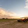 game drive, wilderness kalahari plains, central kalahari, botswana