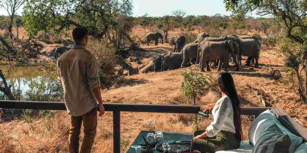 lodge dining, elephants, waterside at royal malewane, thornybush game reserve, south africa