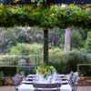garden dining, future found sanctuary, cape town, south africa