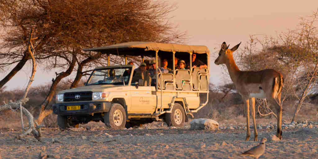 Safari game drive, Onguma Camp Kala, Namibia