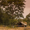 Explorer tent in Timbavati, Tanda Tula, South Africa