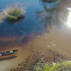 DJI00367