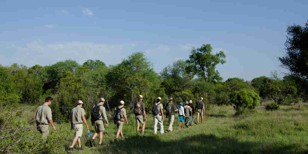 walking safari, sabi sabi bush lodge, sabi sands reserves, south africa