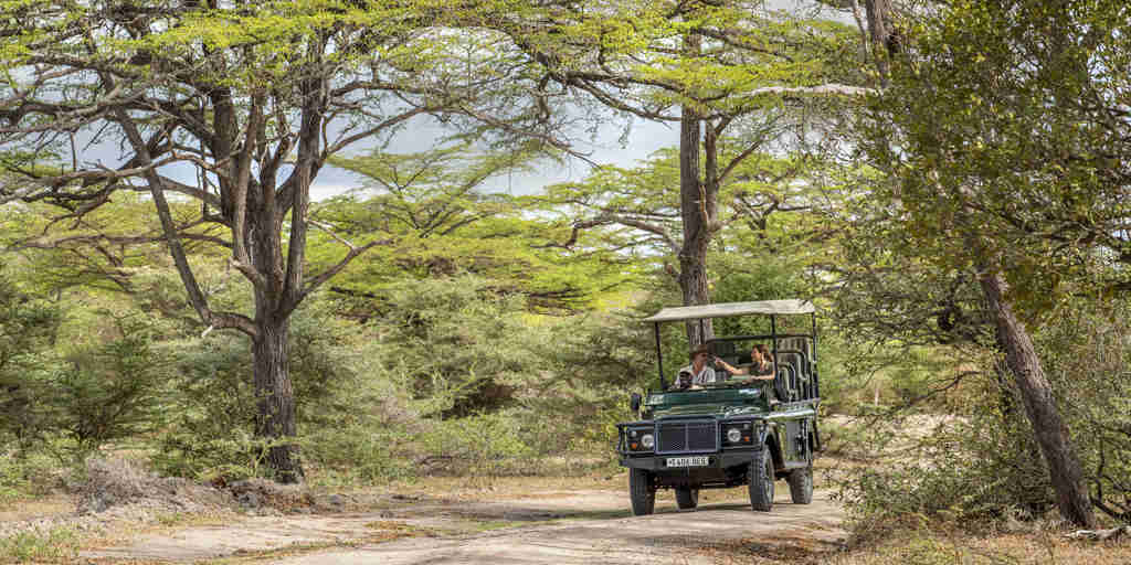 game drive, siwandu camp, nyerere national park, tanzania