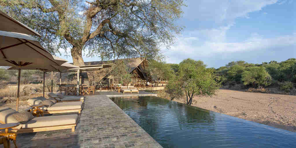 swimming pool, jongomero camp, ruaha national park, tanzania