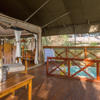 Elephant Bedroom Camp Samburu Park Kenya Yellow Zebra Safaris