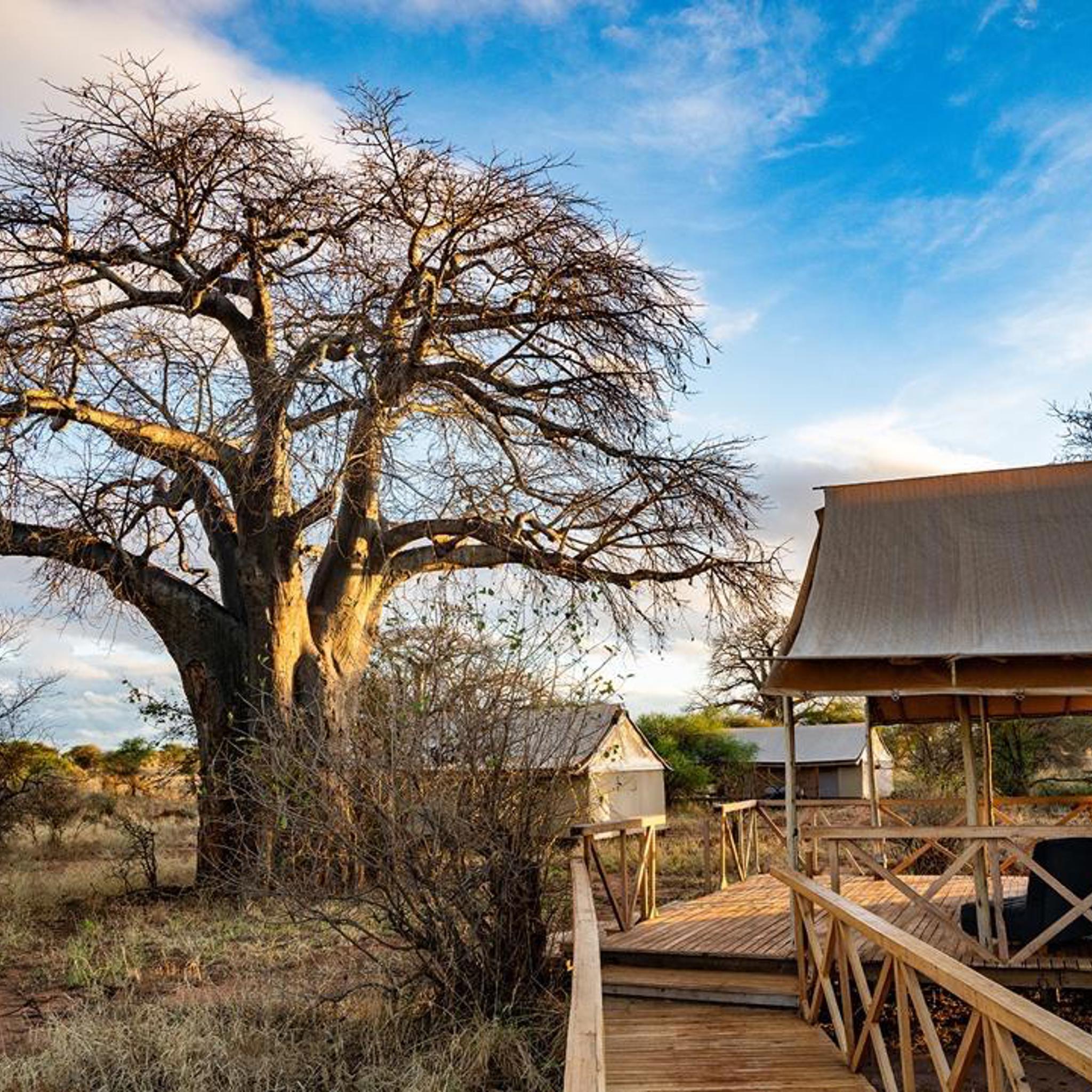 Ndovu camp view, Tarangire, Tanzania