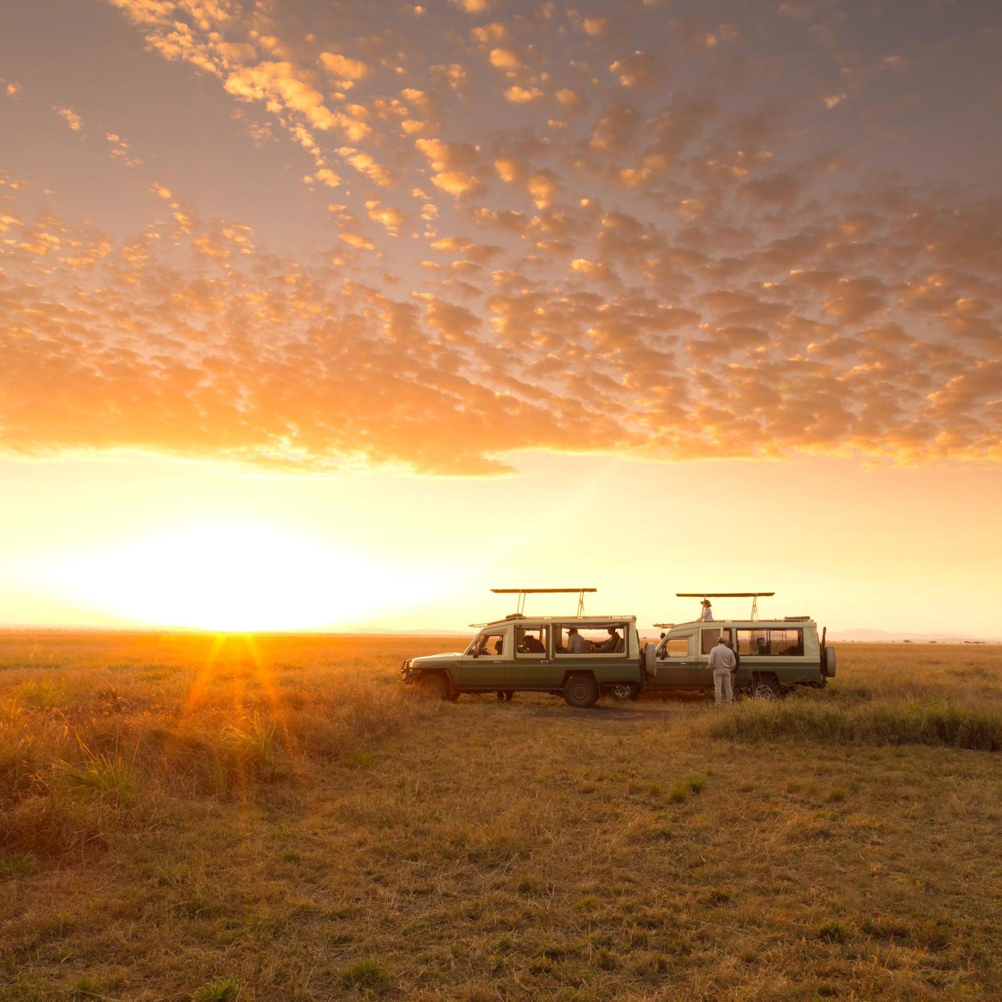 Serengeti Safari Camp, Tanzania safaris