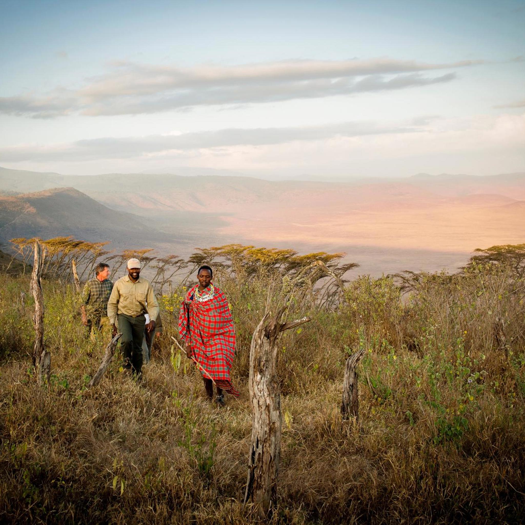 Walking safari, Ngorongoro Crater rim, Tanzania safari