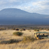Game drive in Amboseli at Elerai Camp, Kenya