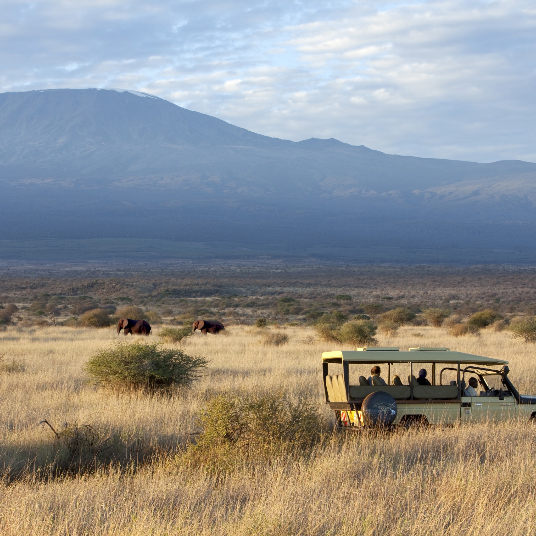 Game drive in Amboseli at Elerai Camp, Kenya square
