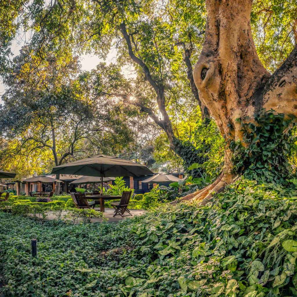 Arusha Coffee Lodge, Arusha, Tanzania safari