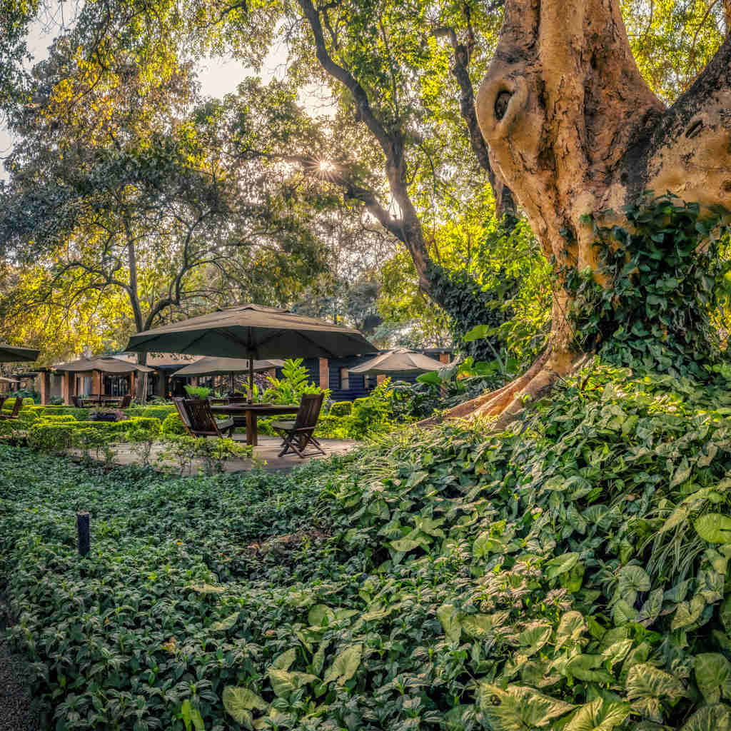 Arusha Coffee Lodge, Arusha, Tanzania safari