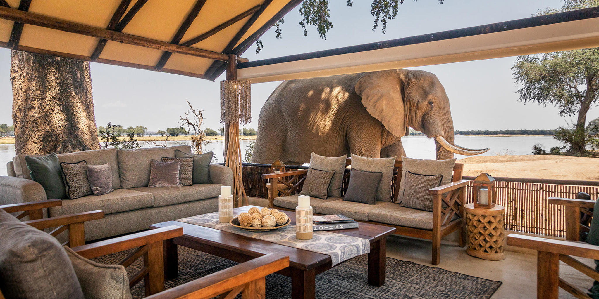 Main lounge and elephant, Old Mondoro, Lower Zambezi, Zambia