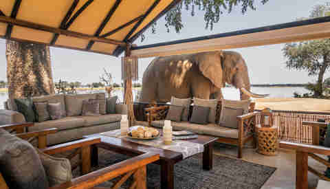 Main lounge and elephant, Old Mondoro, Lower Zambezi, Zambia