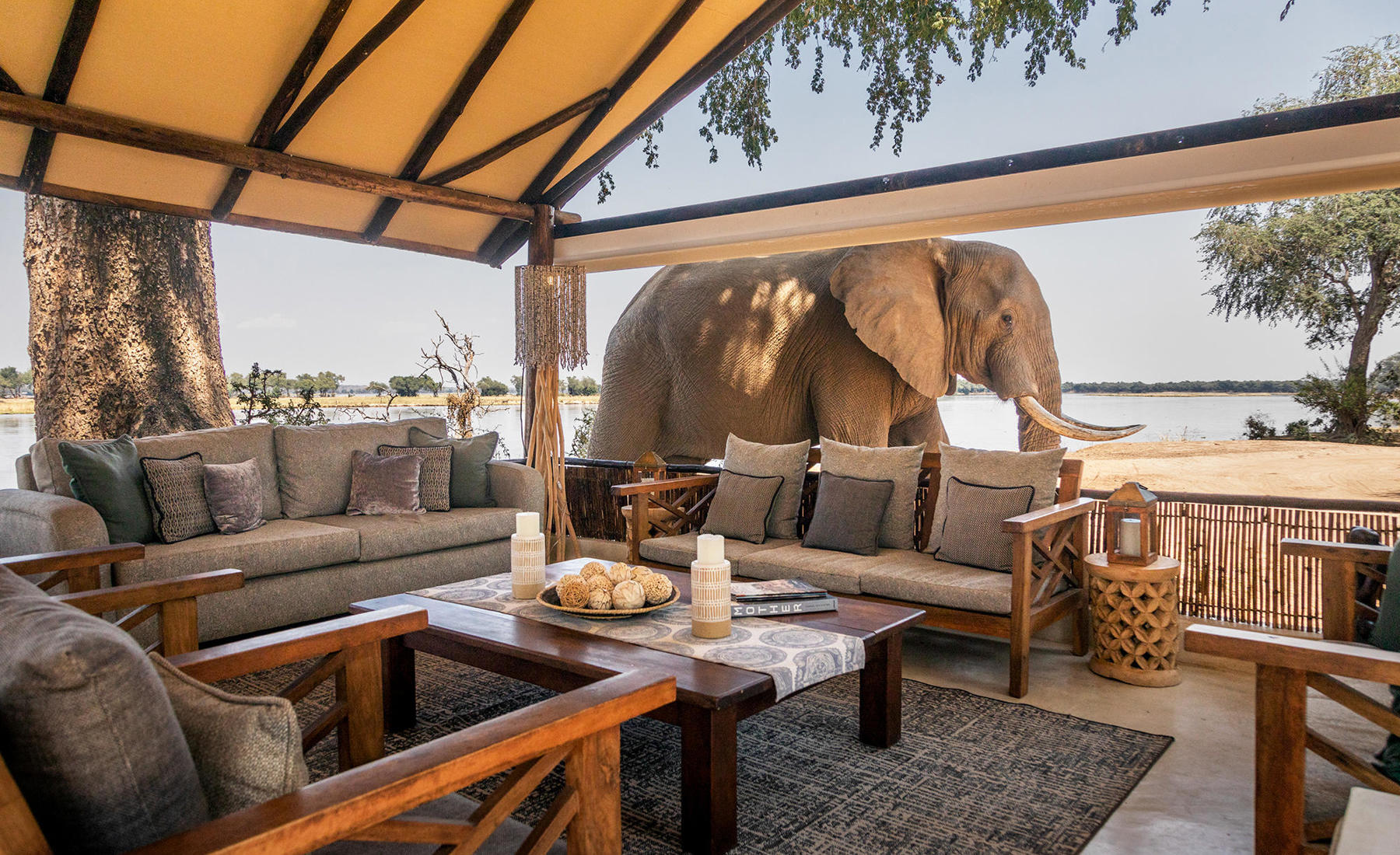 Main lounge and elephant, Old Mondoro, Lower Zambezi, Zambia