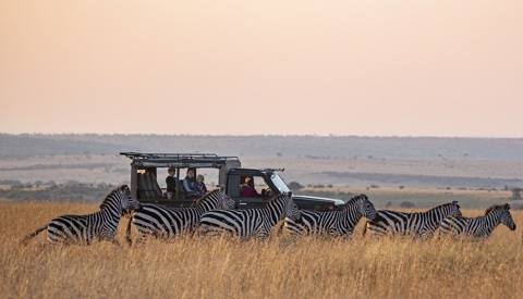 Safari in August, When to go to Africa