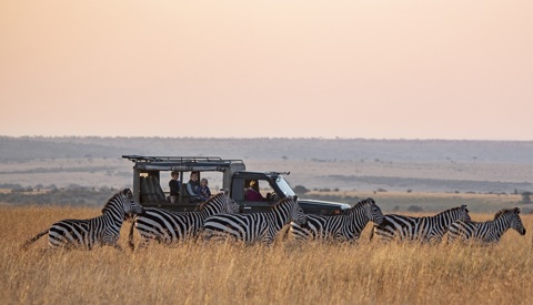 Listing, Kenya Game Drive Offbeat Mara