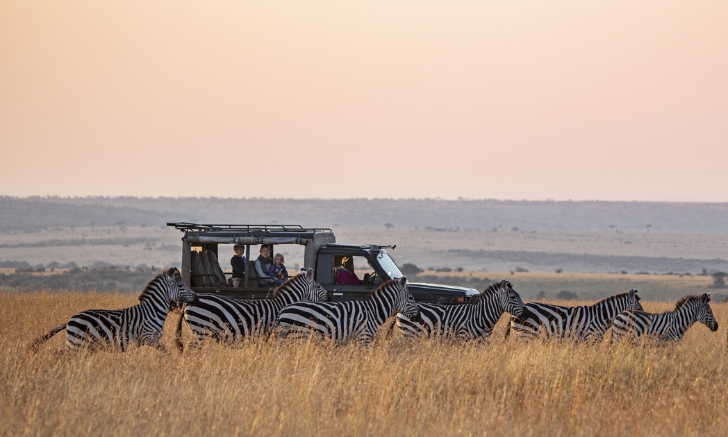 Listing, Kenya Game Drive Offbeat Mara