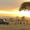 Game drive, Kicheche Laikipia, Kenya