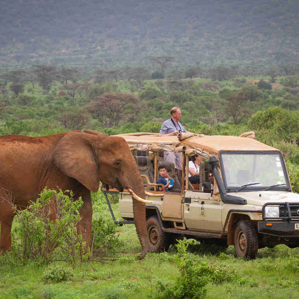 Game drive, Elephant Bedroom Camp, Samburu, Kenya