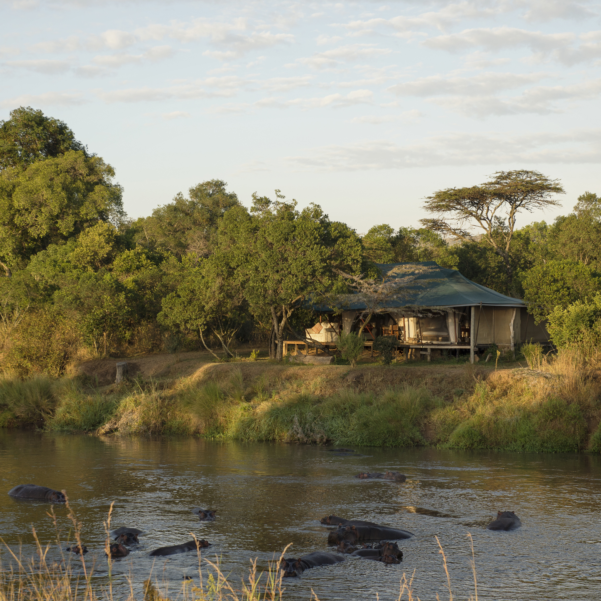 View, Ngare Serian Camp, Maasai Mara, Kenya