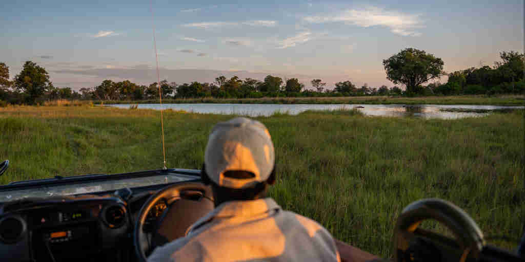 game drive, 4 rivers, okavango delta, botswana