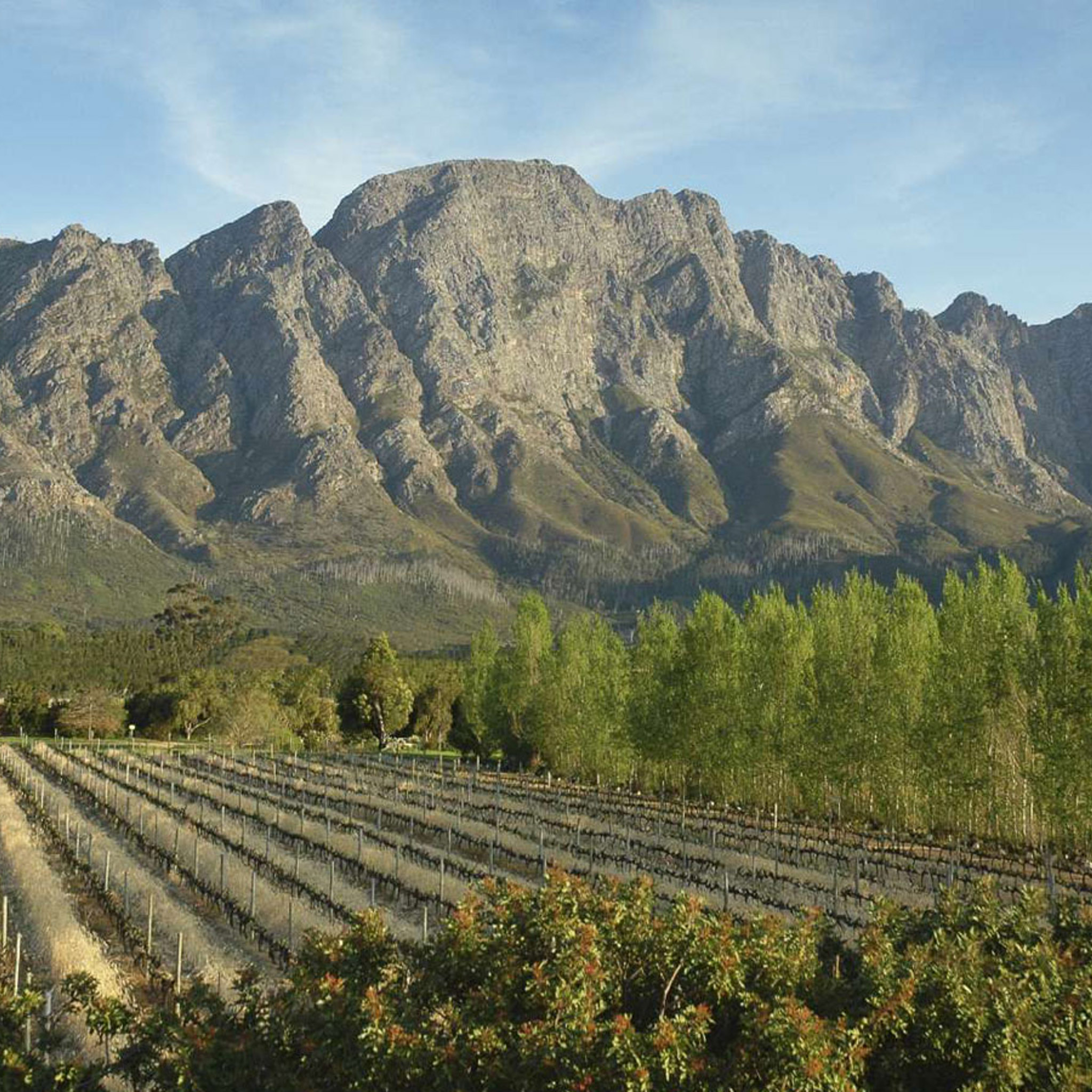 the winelands, franschhoek, south africa
