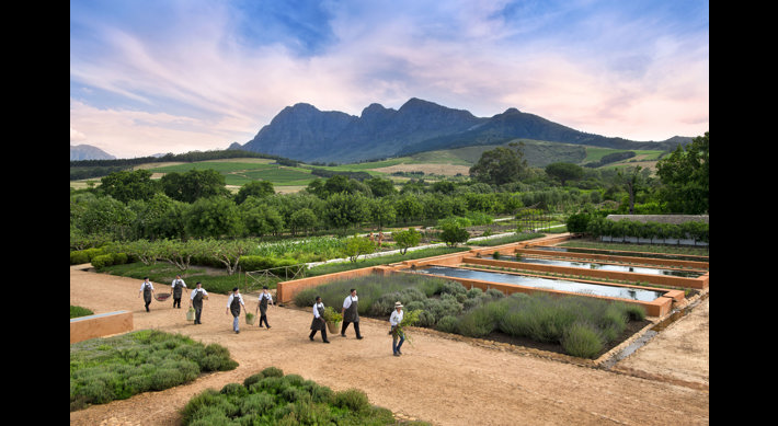 Garden, Babylonstoren, The Winelands, South Africa