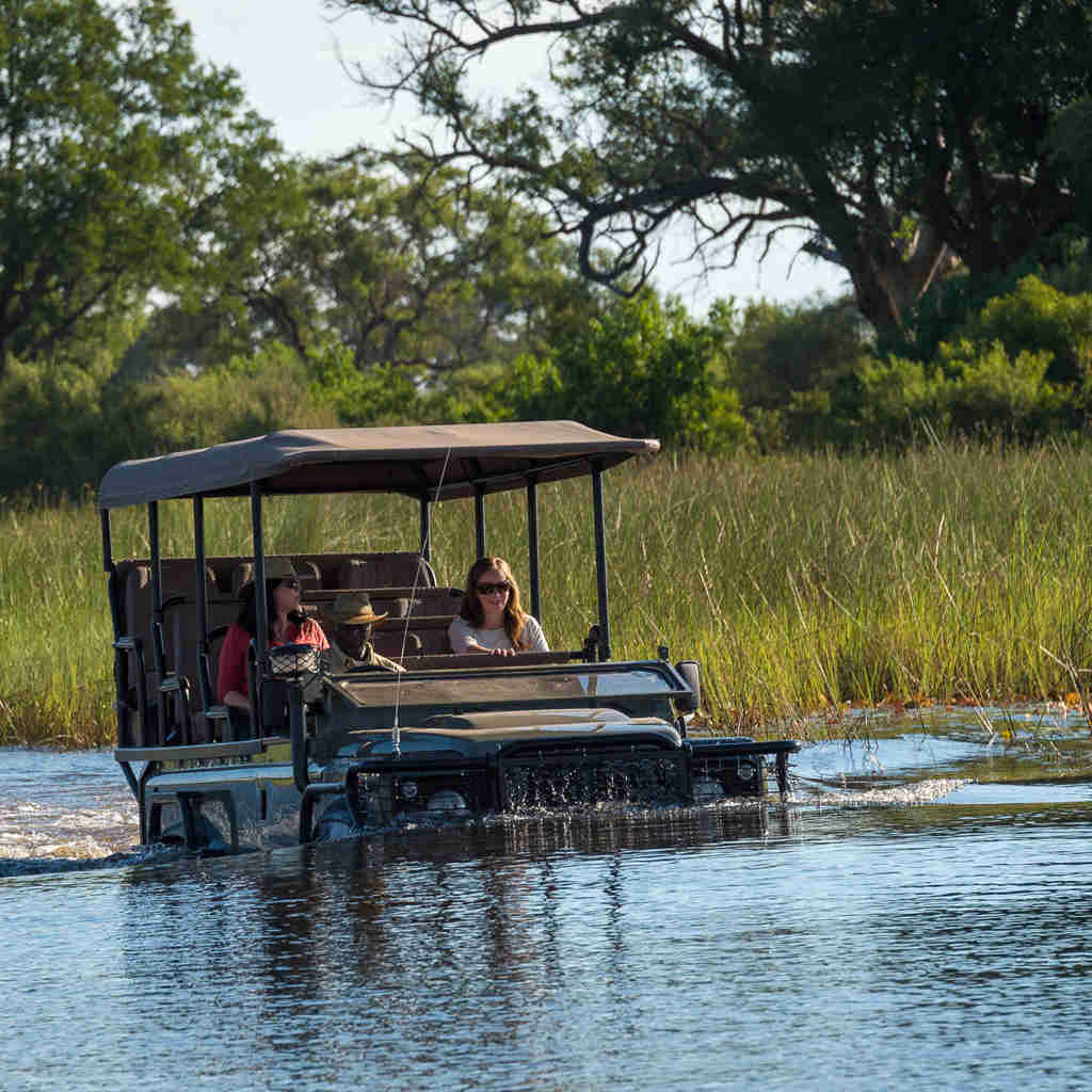 Wilderness Little Vumbura, Game Drive, Okavango Delta, Botswana