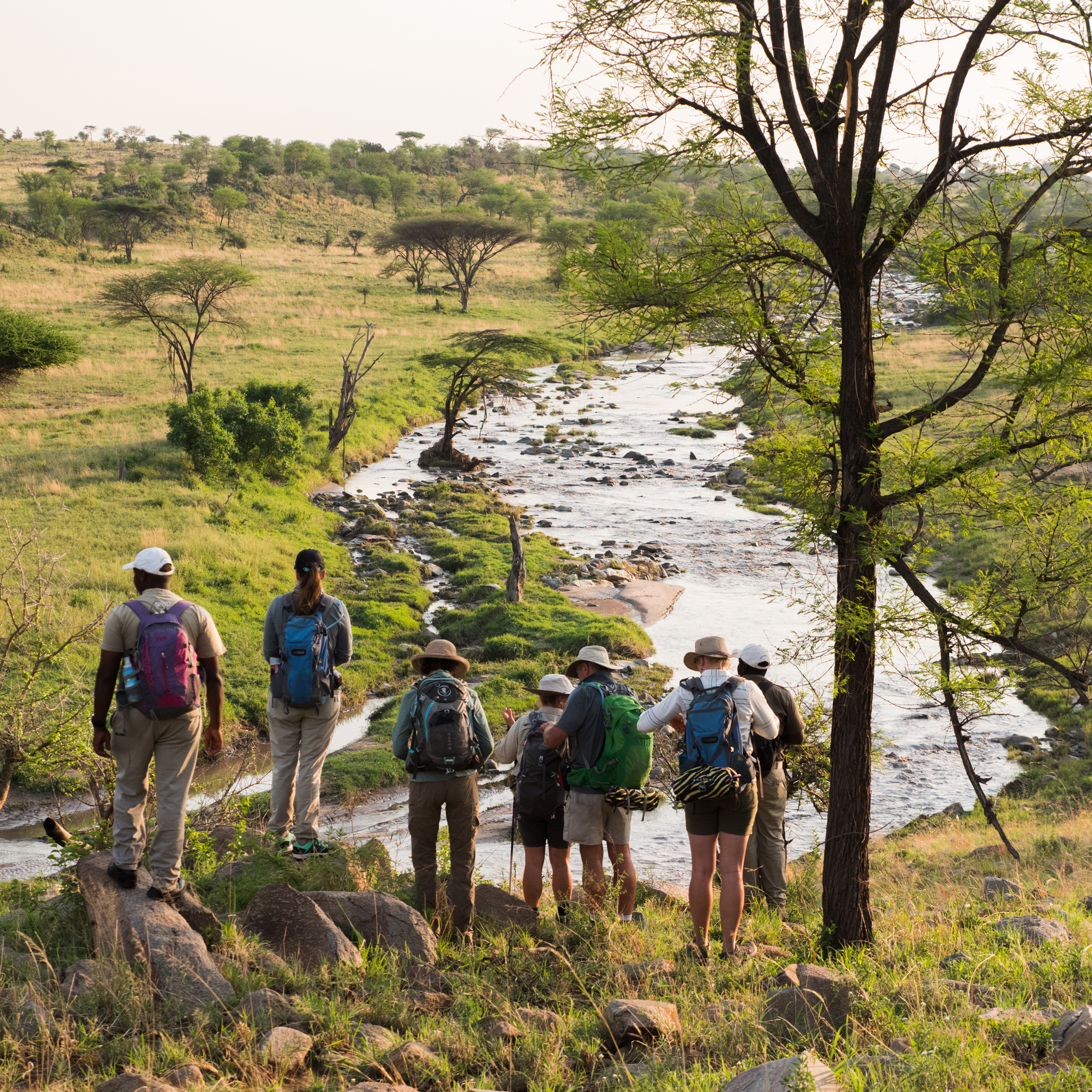 Walking safari, Wayo Serengeti Green Camp, Tanzania