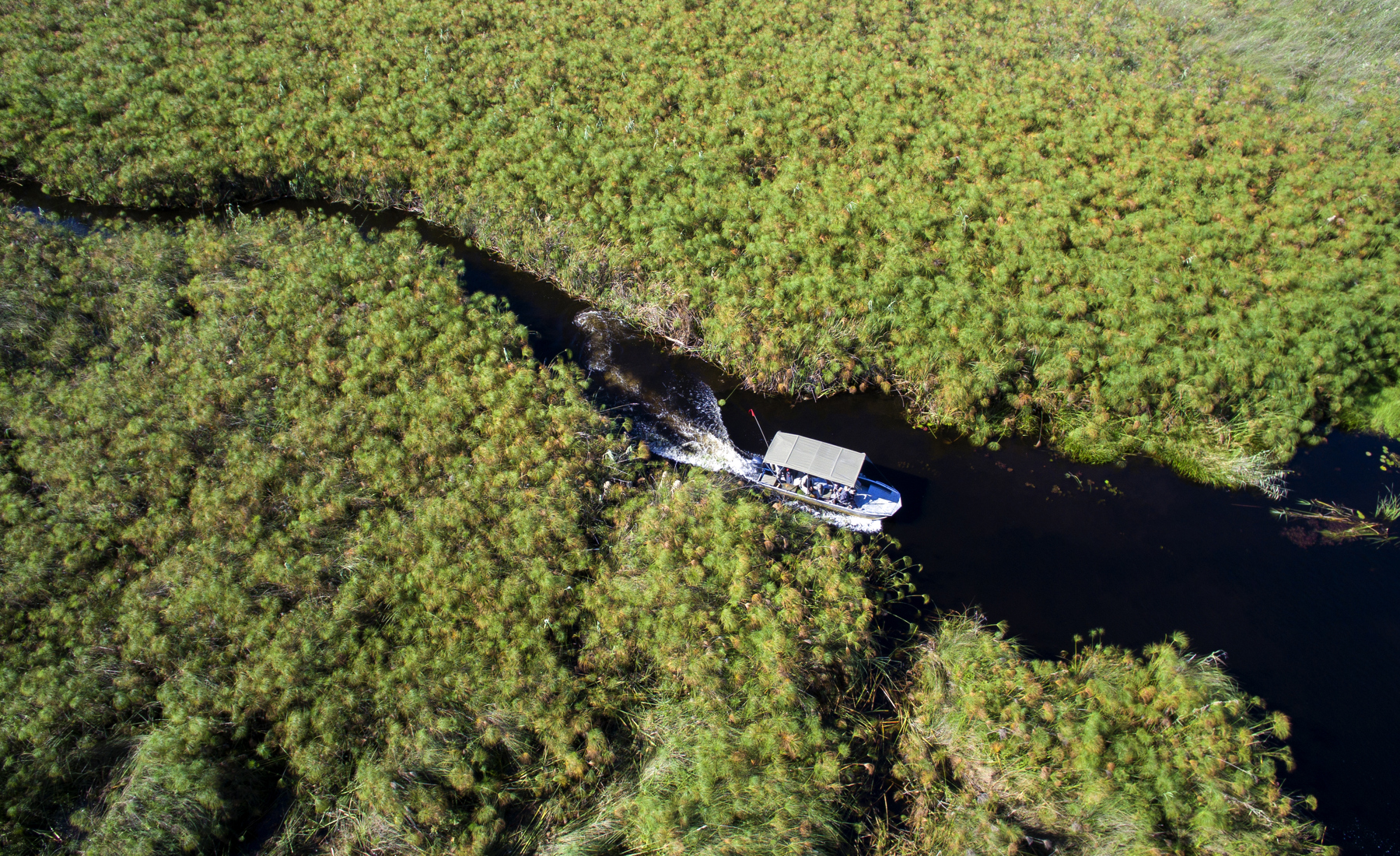 Boat cruise activity, &Beyond Nxabega Okavango Tented Camp, Botswana