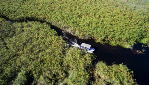 Boat cruise activity, &Beyond Nxabega Okavango Tented Camp, Botswana