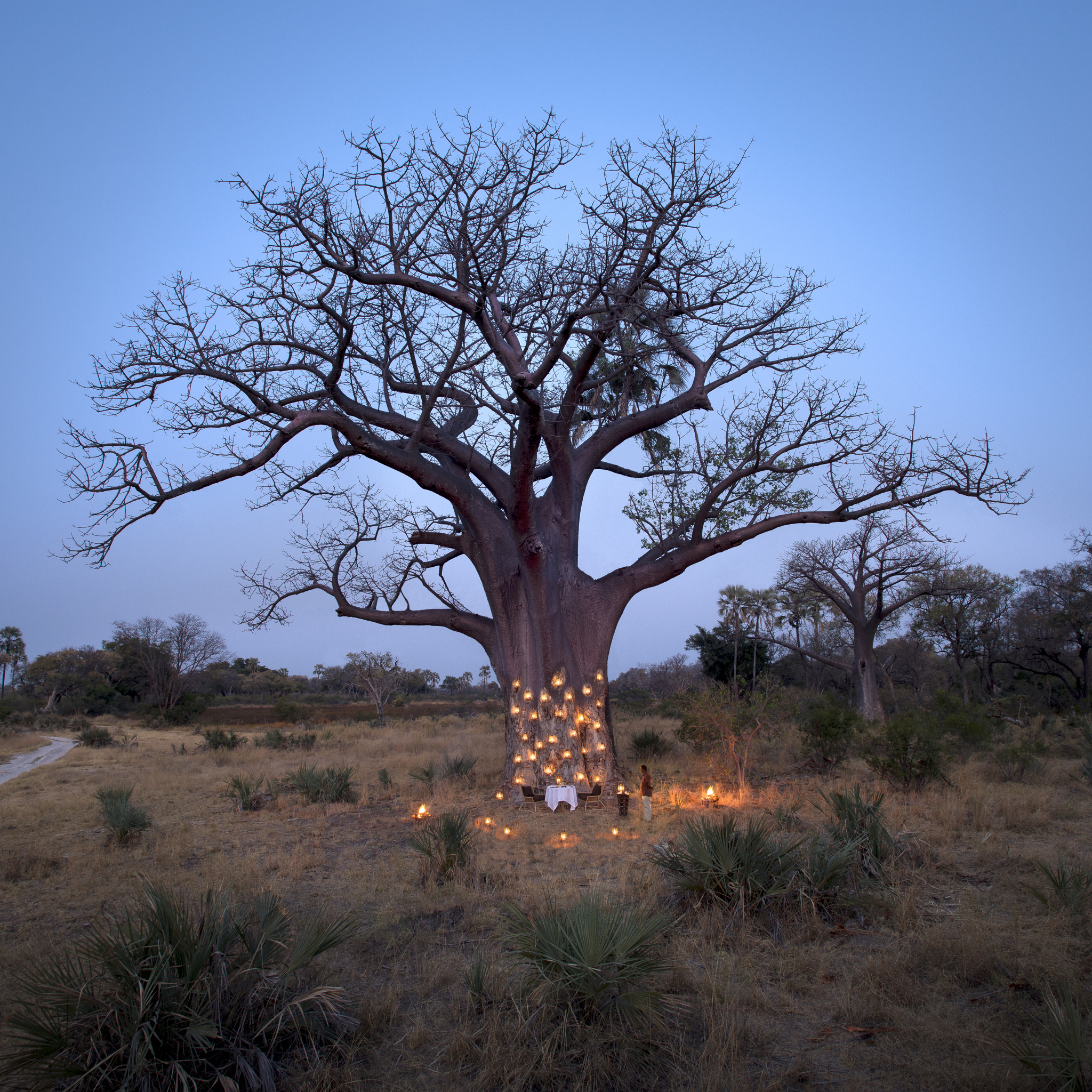 Private dining, &Beyond Sandibe Okavango Safari Lodge, Botswana