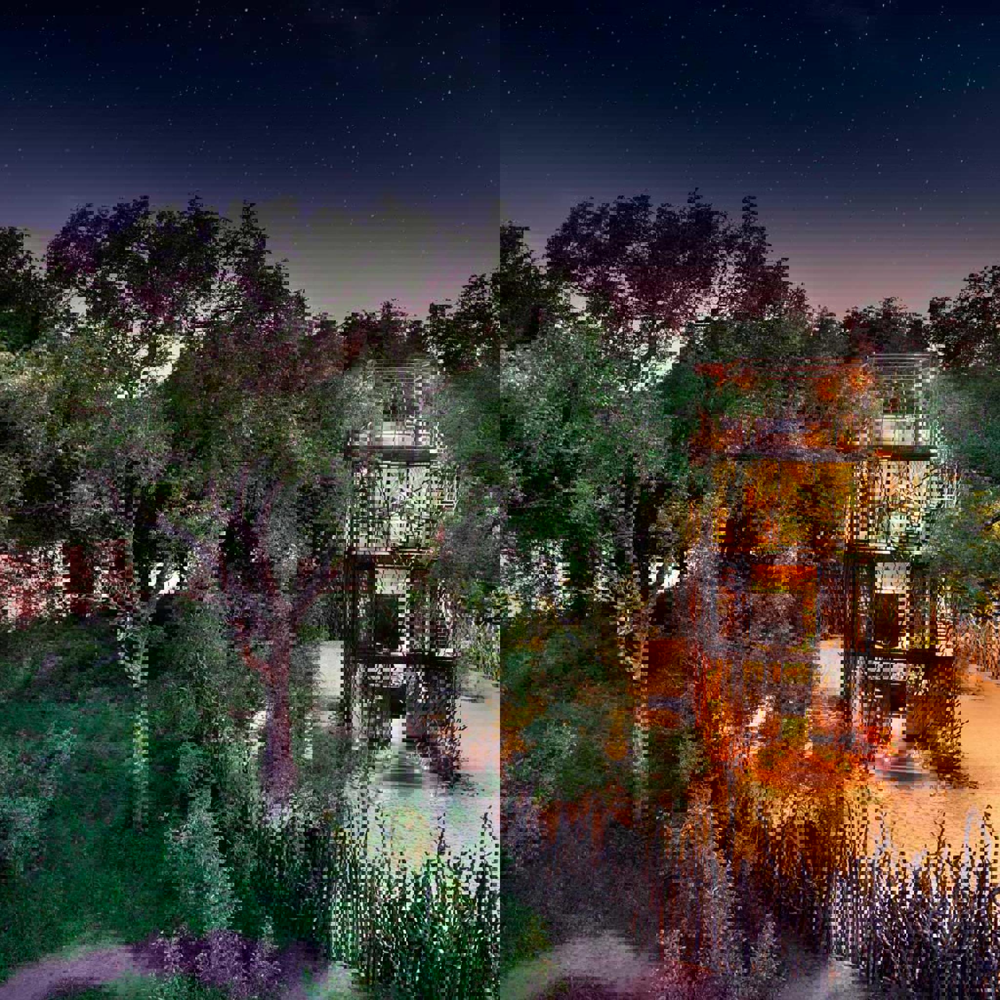 treehouse star bed, nglala tented camp, timbavati game reserve, south africa