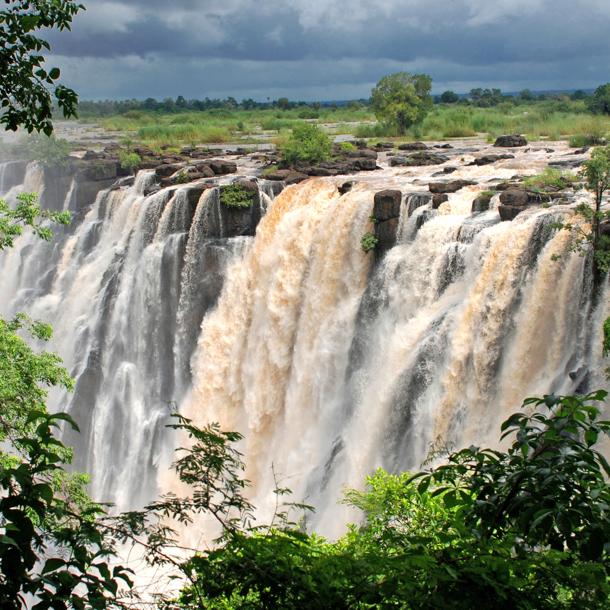 safari to victoria falls, south africa