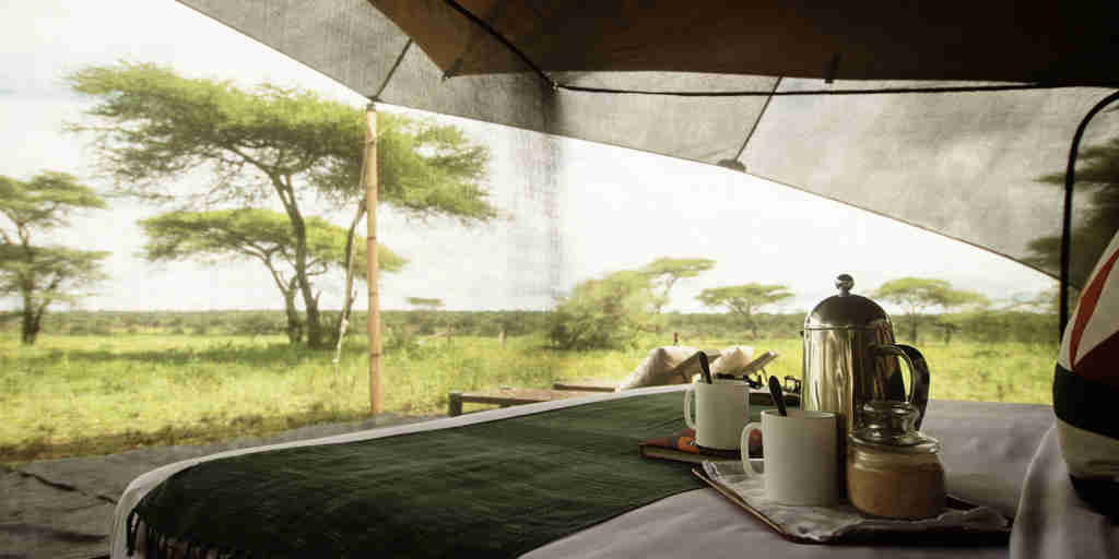 wake up call, wayo serengeti green camp, the serengeti, tanzania