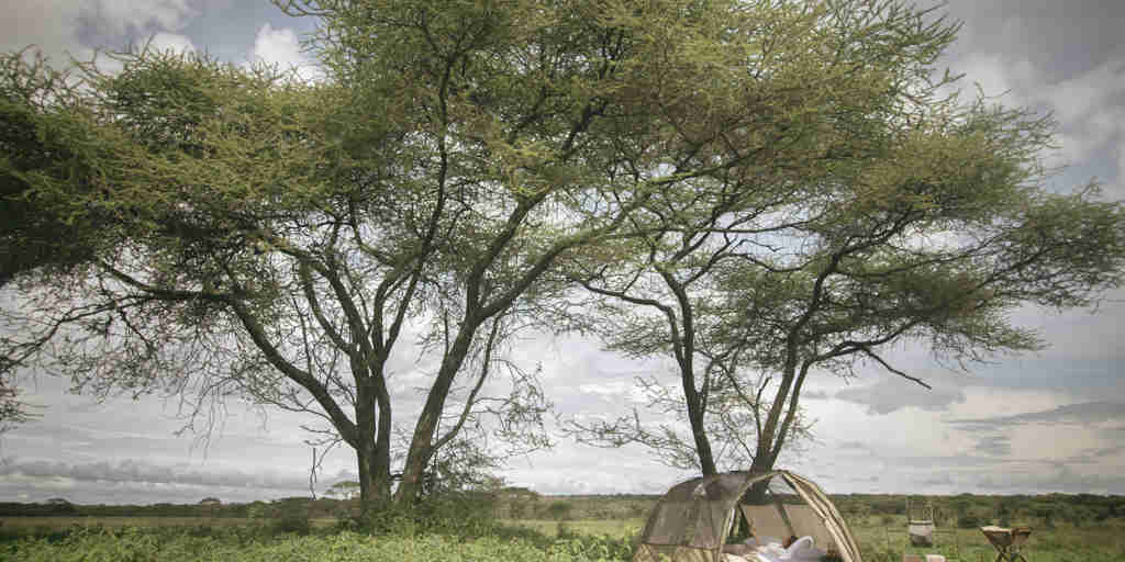 relaxation, wayo fly camping in the serengeti, tanzania