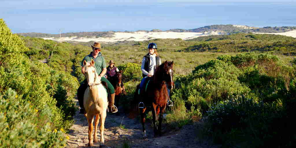 horse tours, grootbos private nature reserve, south africa