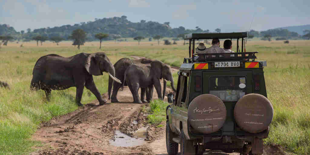 elephant game drive, Elewana Serengeti Pioneer Camp, the serengeti, tanzania