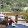 elephant deck, londolozi founders camp, sabi sand reserves, south africa