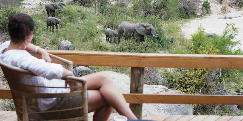 elephant deck, londolozi founders camp, sabi sand reserves, south africa
