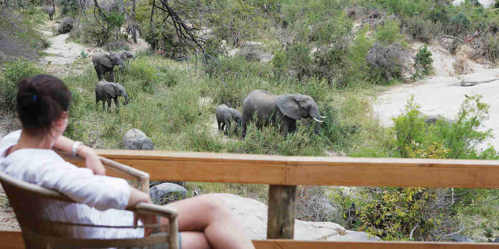 elephant deck, londolozi founders camp, sabi sand reserves, south africa
