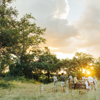 sundowners,  tanda tula safari camp, timbavati private game reserve, south africa